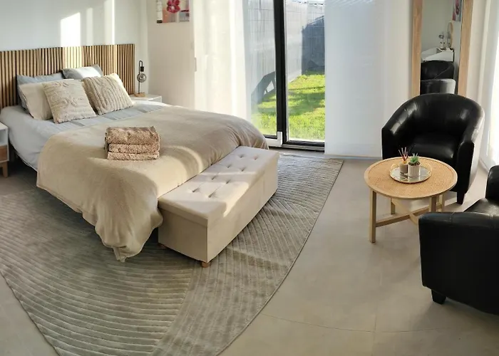 Alsace Elegance Villa Wittelsheim